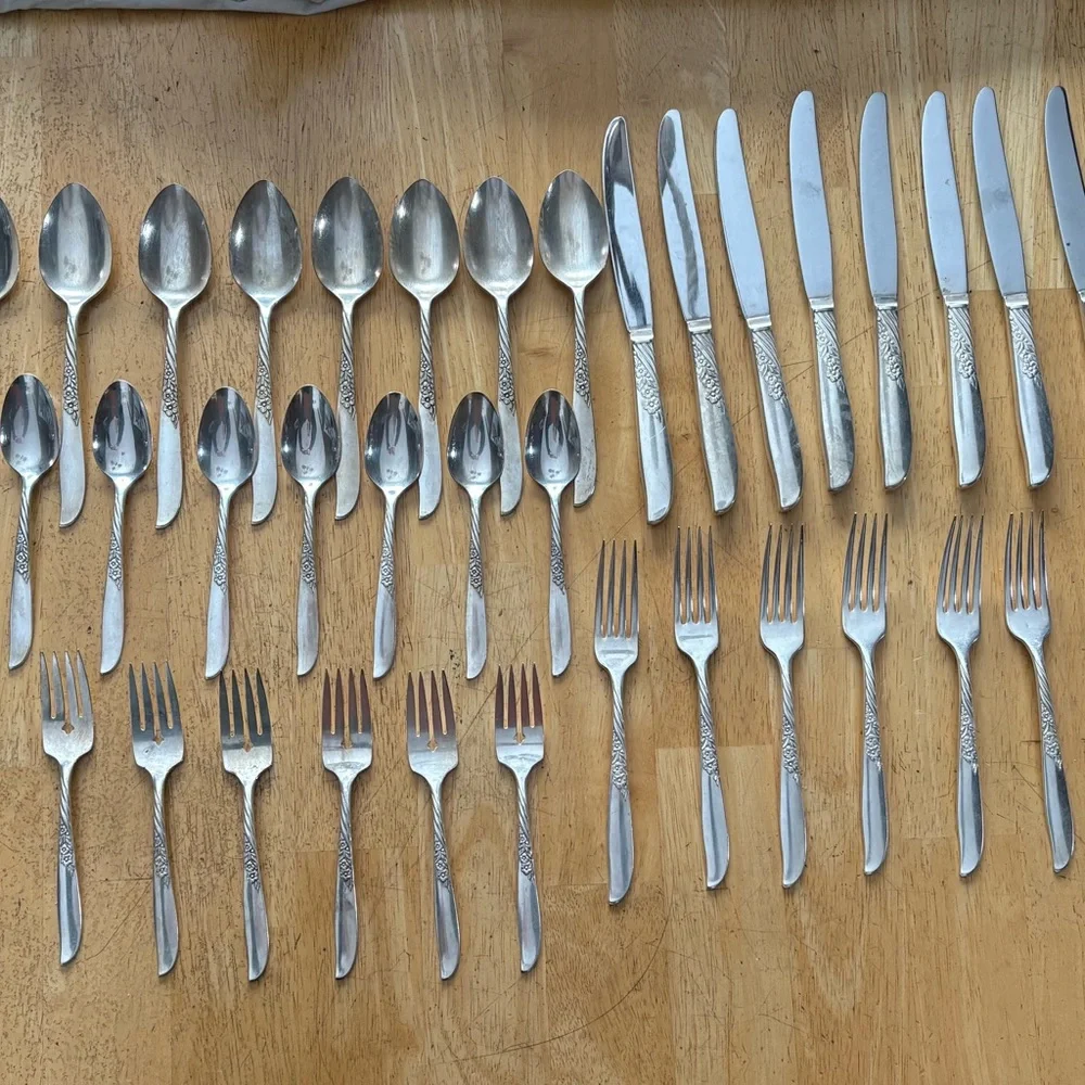 Wm Rogers Oneida Wildwood I Always Silver Plate 8 Place Setting 40 Pieces 1958‎